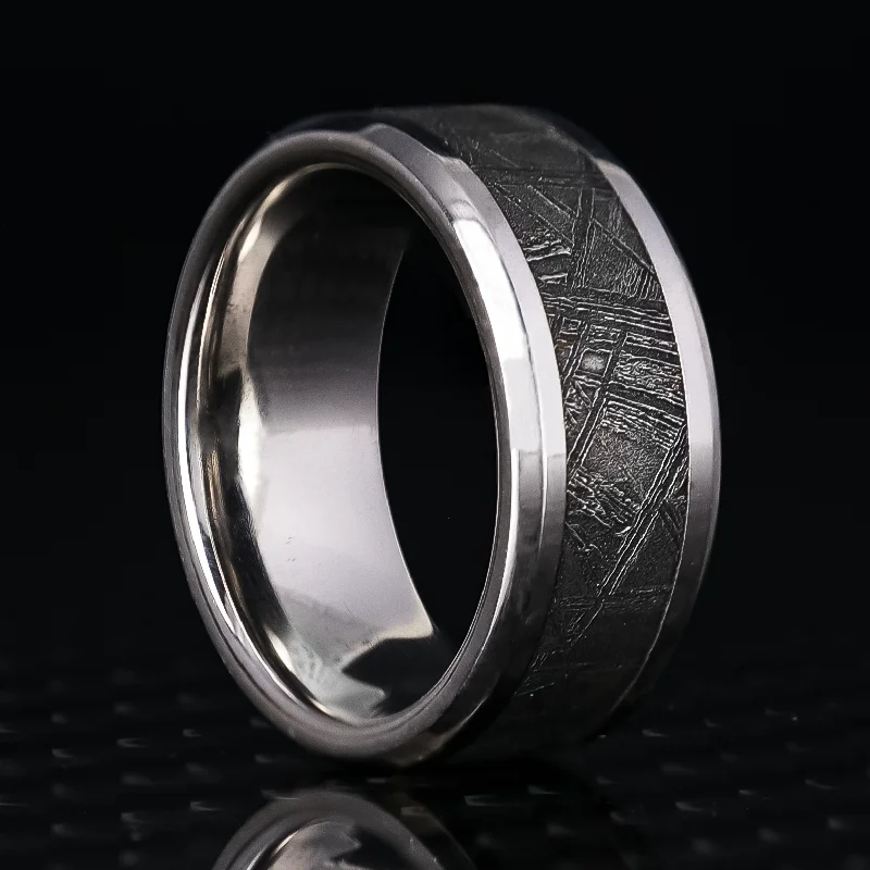 women sterling silver rings -Platinum Ring with Meteorite Inlay